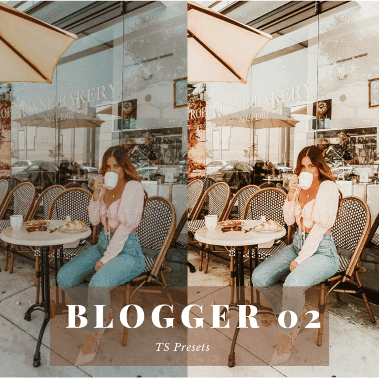 PACK BLOGGER - TS PRESETS (2)
