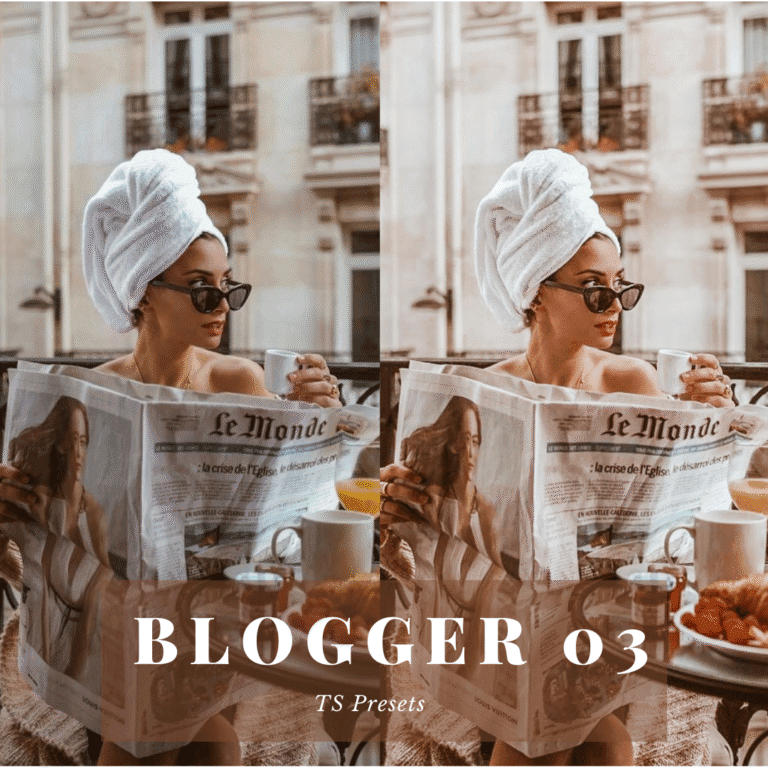 PACK BLOGGER - TS PRESETS (3)